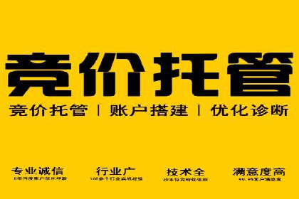 某电商平台信息流广告的精准推广策略